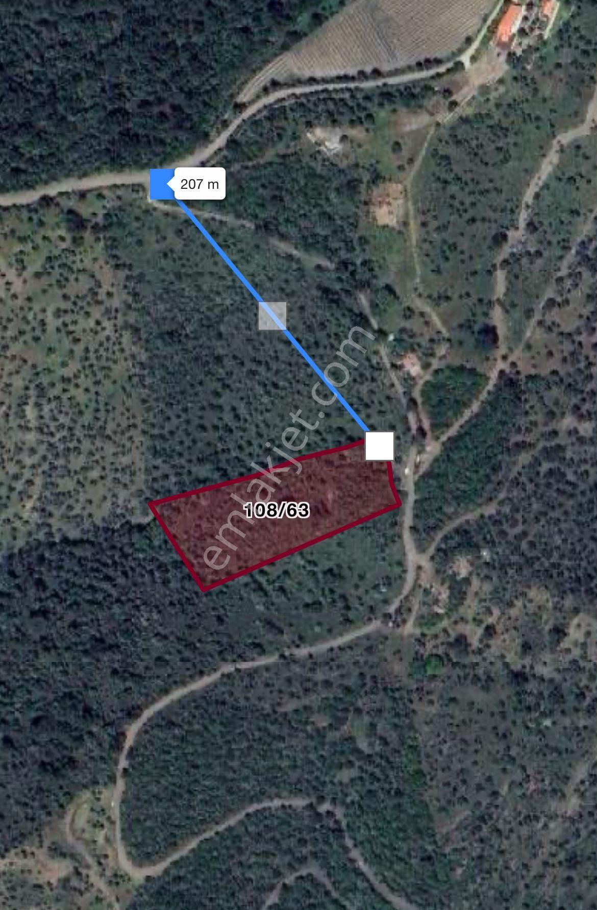 Seferihisar Gölcük Satılık 7 Dönüm Yatırımlık Fırsat Zeytinlik - Görsel 21