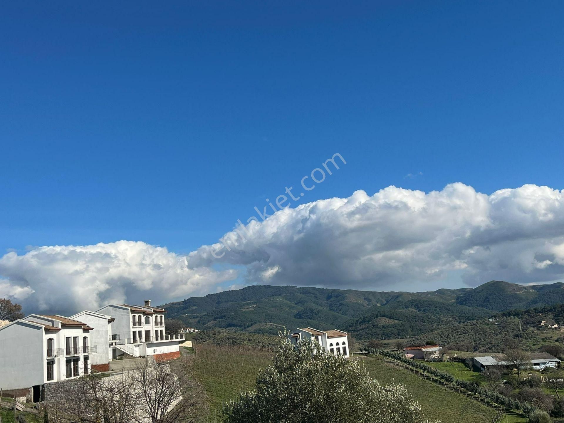 Seferihisar Gölcük Satılık 7 Dönüm Yatırımlık Fırsat Zeytinlik - Görsel 12