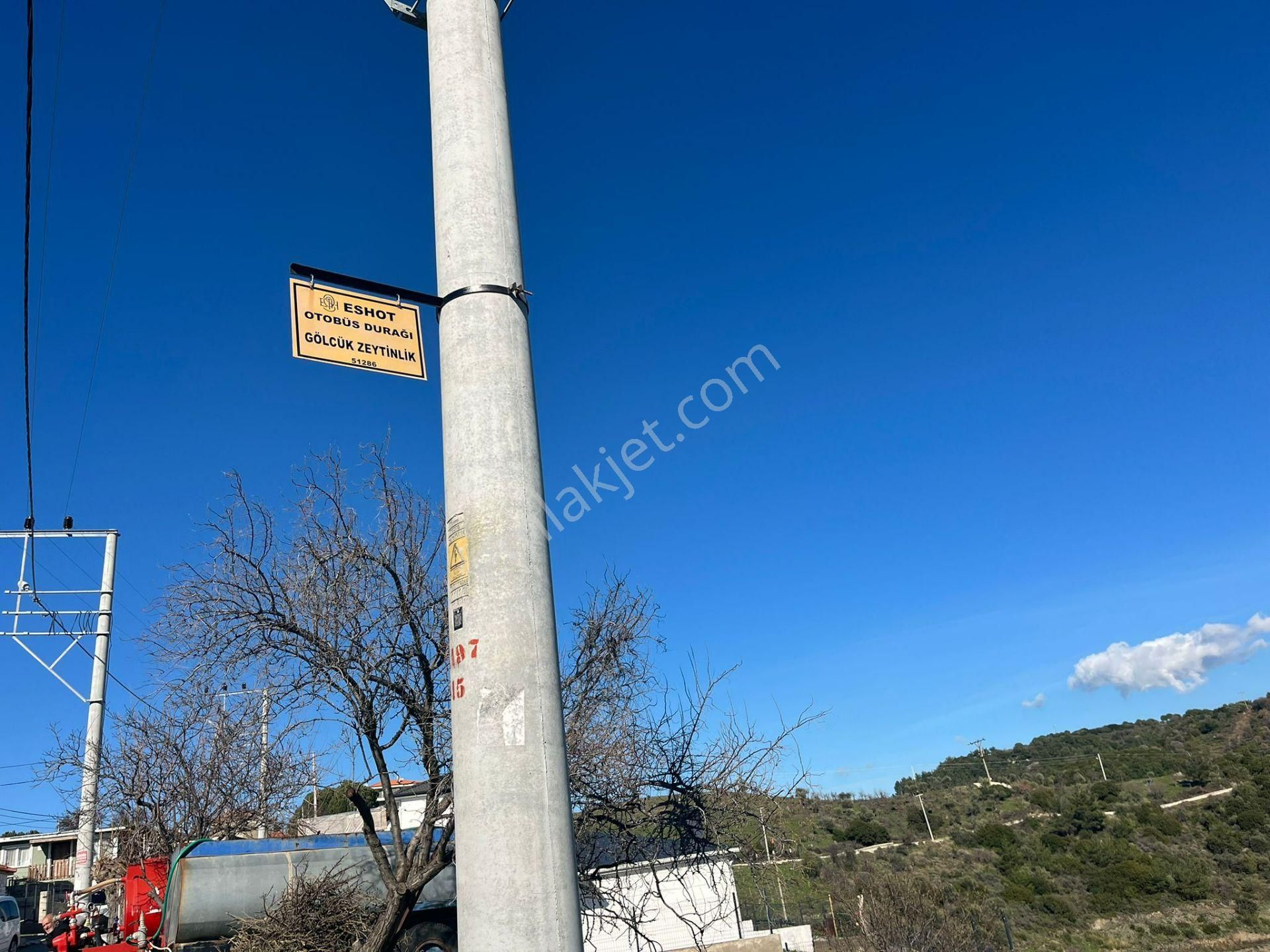 Seferihisar Gölcük Satılık 7 Dönüm Yatırımlık Fırsat Zeytinlik - Görsel 14