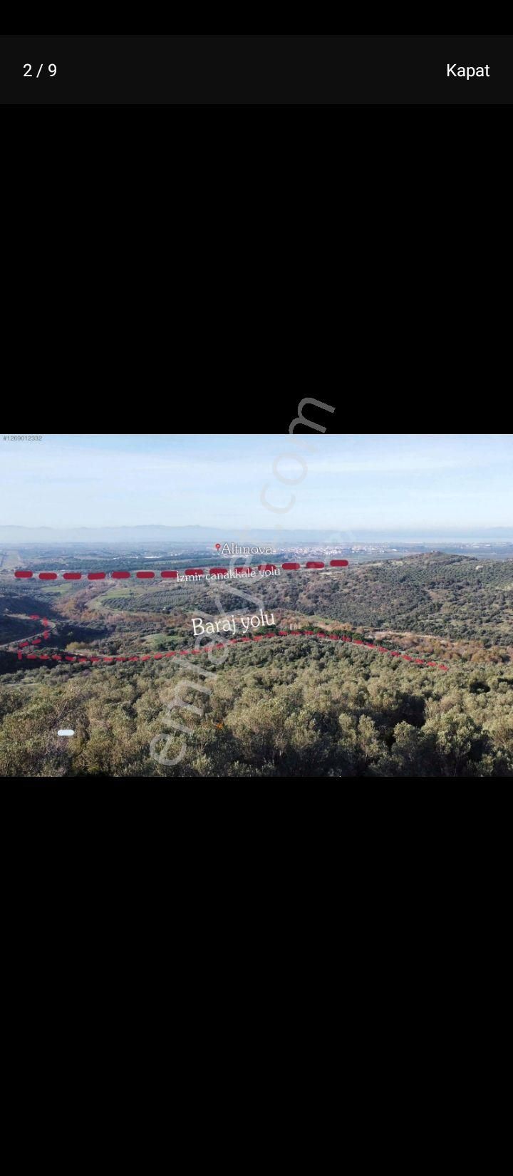 İzmir Dikili Bahçeliköyde Deniz Manzaralı 1.409 Metrekare Satılık Müstakil Tapulu Zeytinlik - Görsel 2