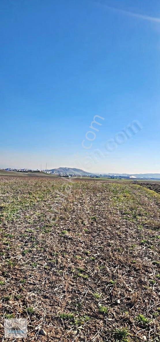 Yılın Yatırım Fırsatı!temelli Gazi'de 250m2 Arsa Sadece 225.000 - Görsel 3