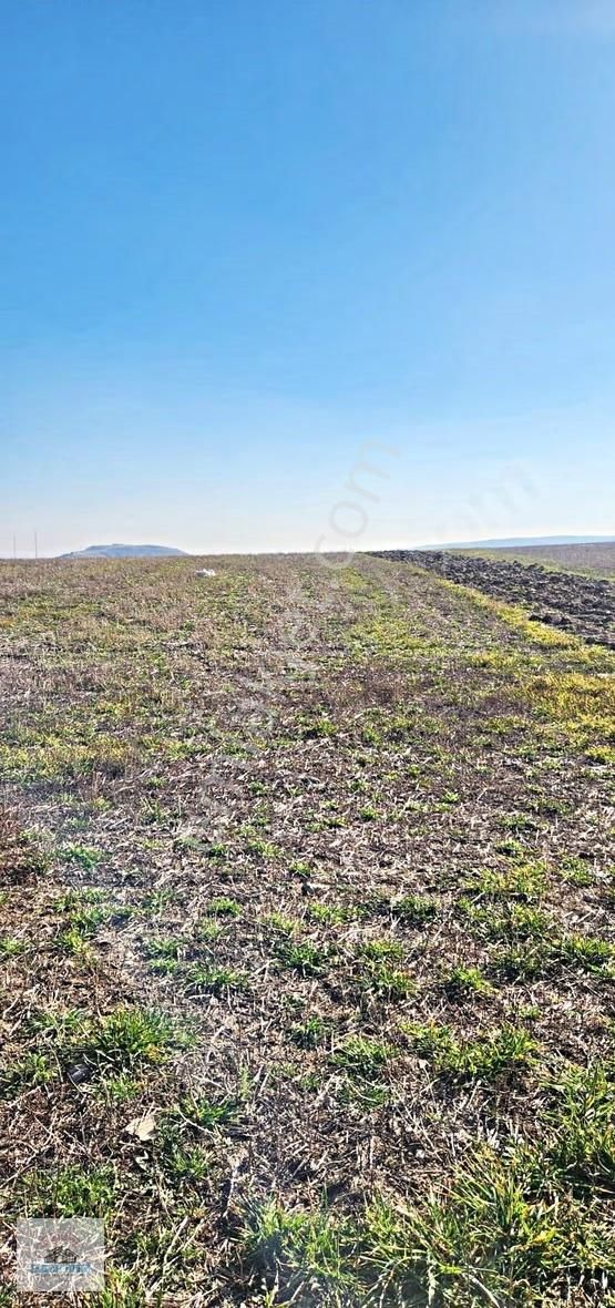 Yılın Yatırım Fırsatı!temelli Gazi'de 250m2 Arsa Sadece 225.000 - Görsel 11