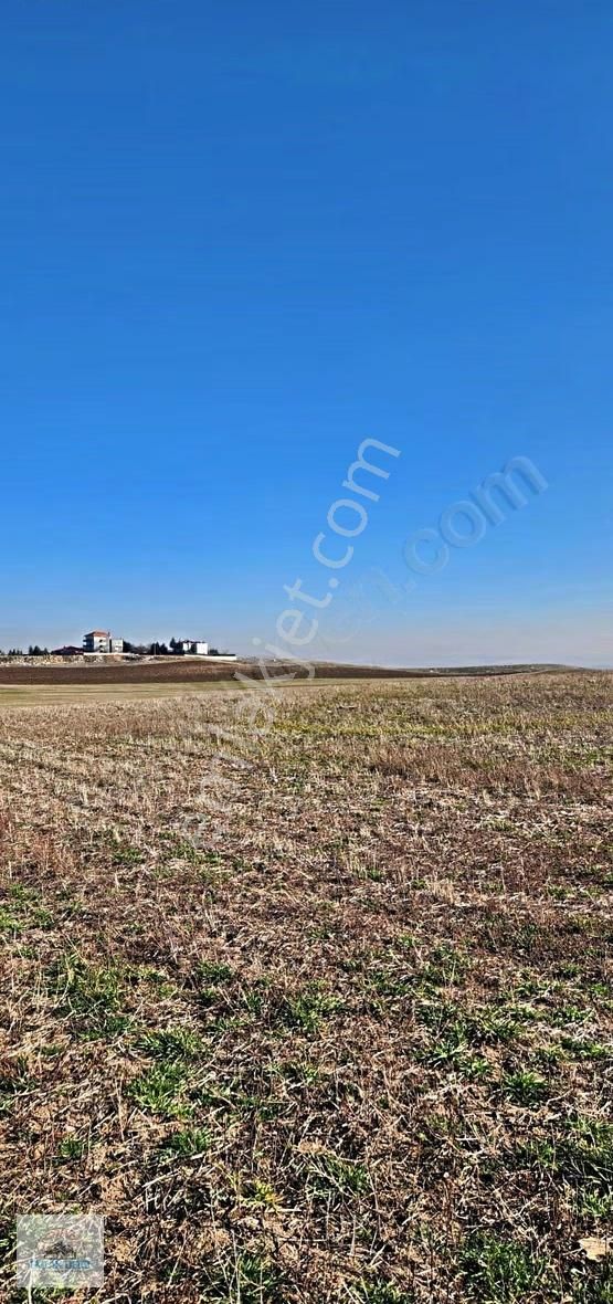 Yılın Yatırım Fırsatı!temelli Gazi'de 250m2 Arsa Sadece 225.000 - Görsel 4