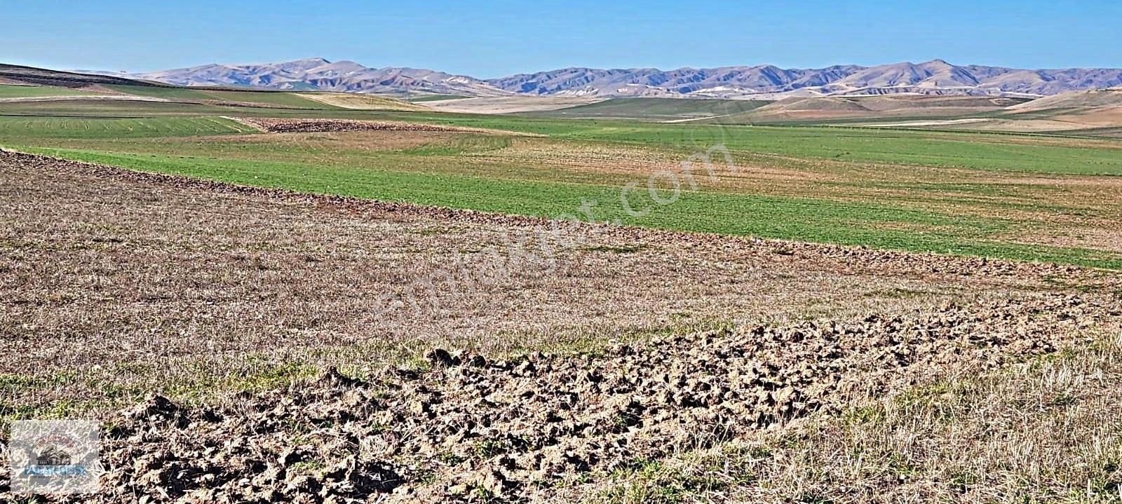 Yılın Yatırım Fırsatı!temelli Gazi'de 250m2 Arsa Sadece 225.000 - Görsel 5