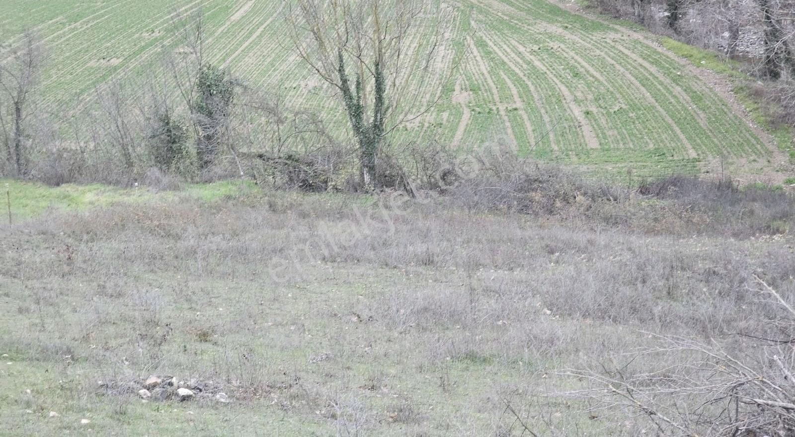 1823m Fırsat Su Var Asvalta Cepheli Düz Gibi Hafif Meyilli Hobi - Görsel 9