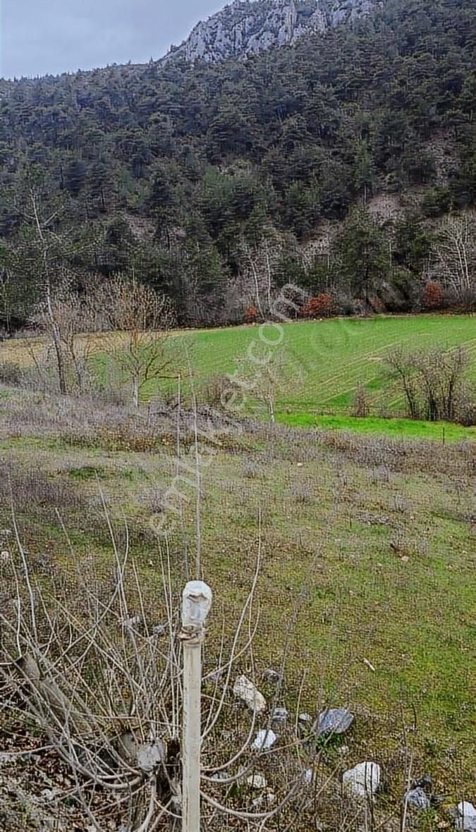 1823m Fırsat Su Var Asvalta Cepheli Düz Gibi Hafif Meyilli Hobi - Görsel 10