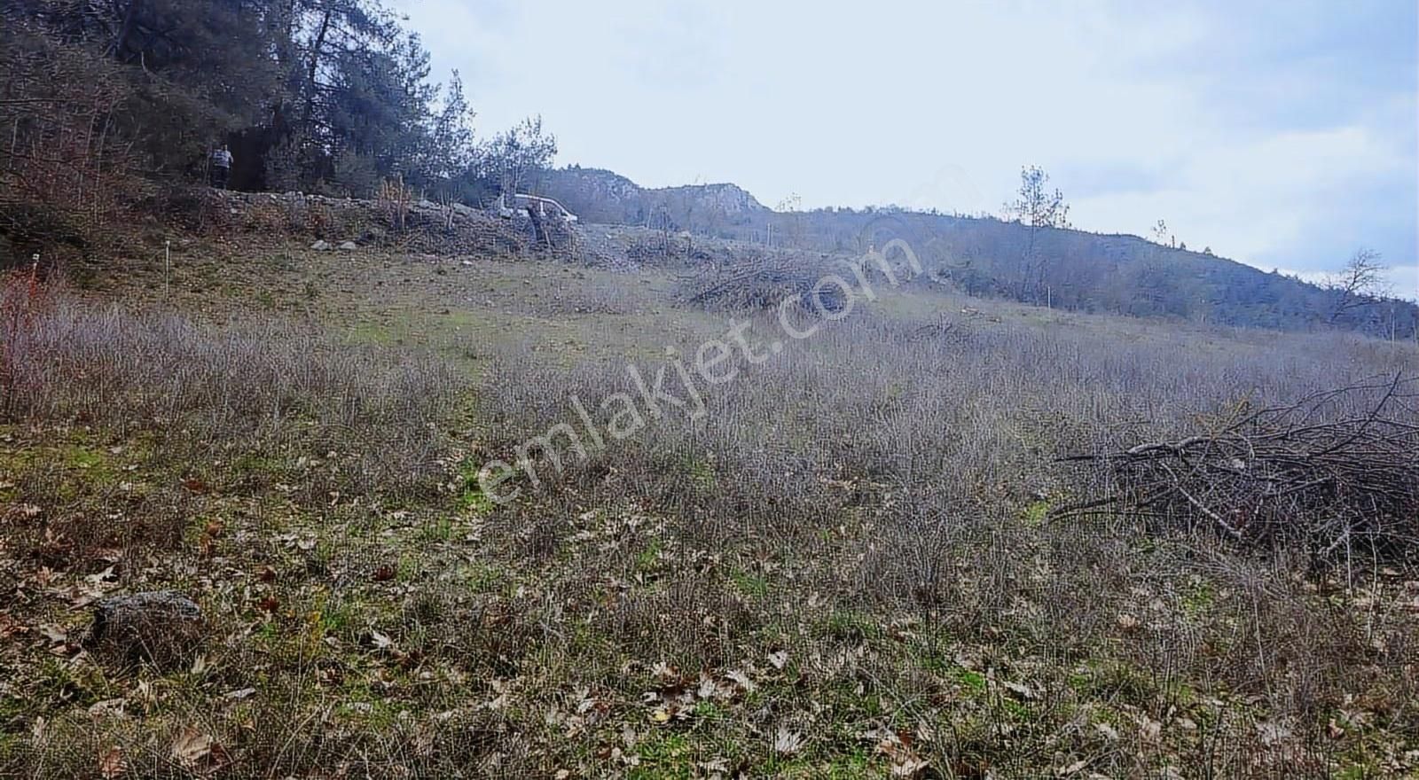 1823m Fırsat Su Var Asvalta Cepheli Düz Gibi Hafif Meyilli Hobi