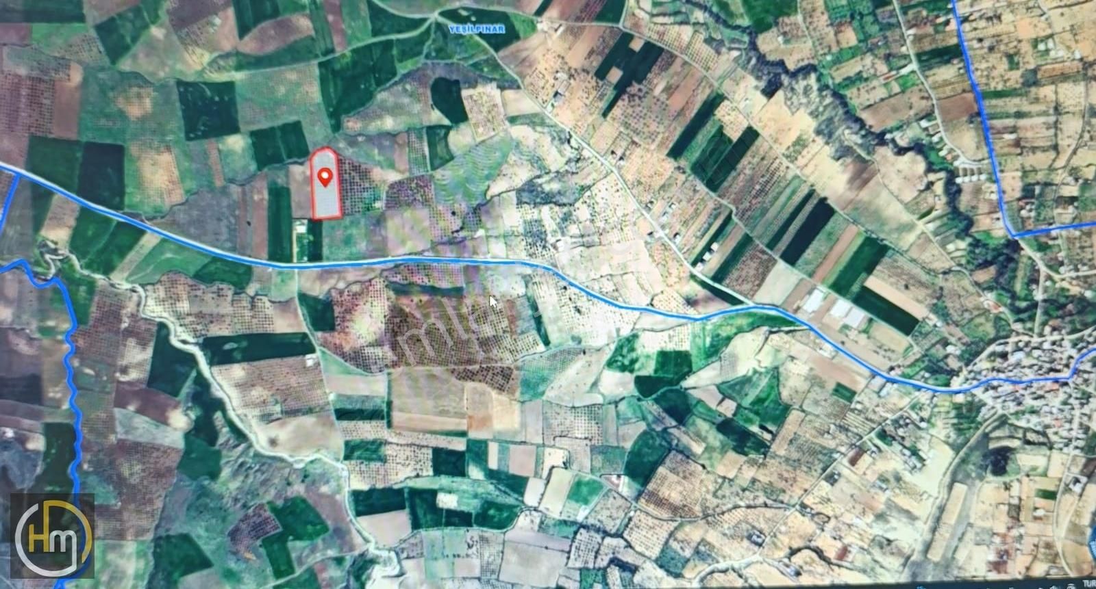 H.arslan'dan Burç Yeşilpınar'da Resmi Yolu Alınmış Zeytinlik