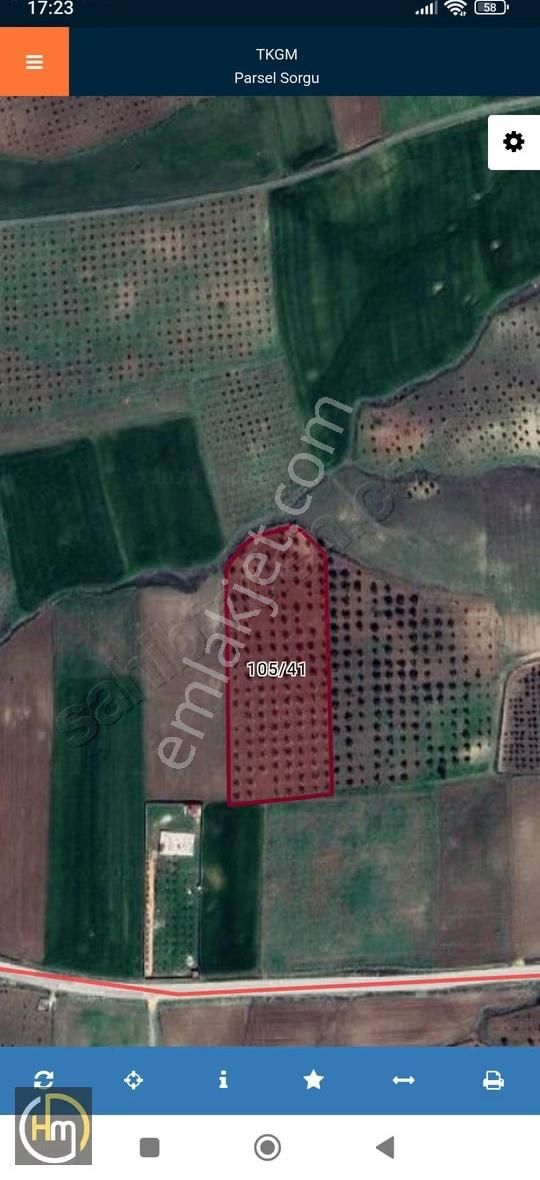 H.arslan'dan Burç Yeşilpınar'da Resmi Yolu Alınmış Zeytinlik - Görsel 2