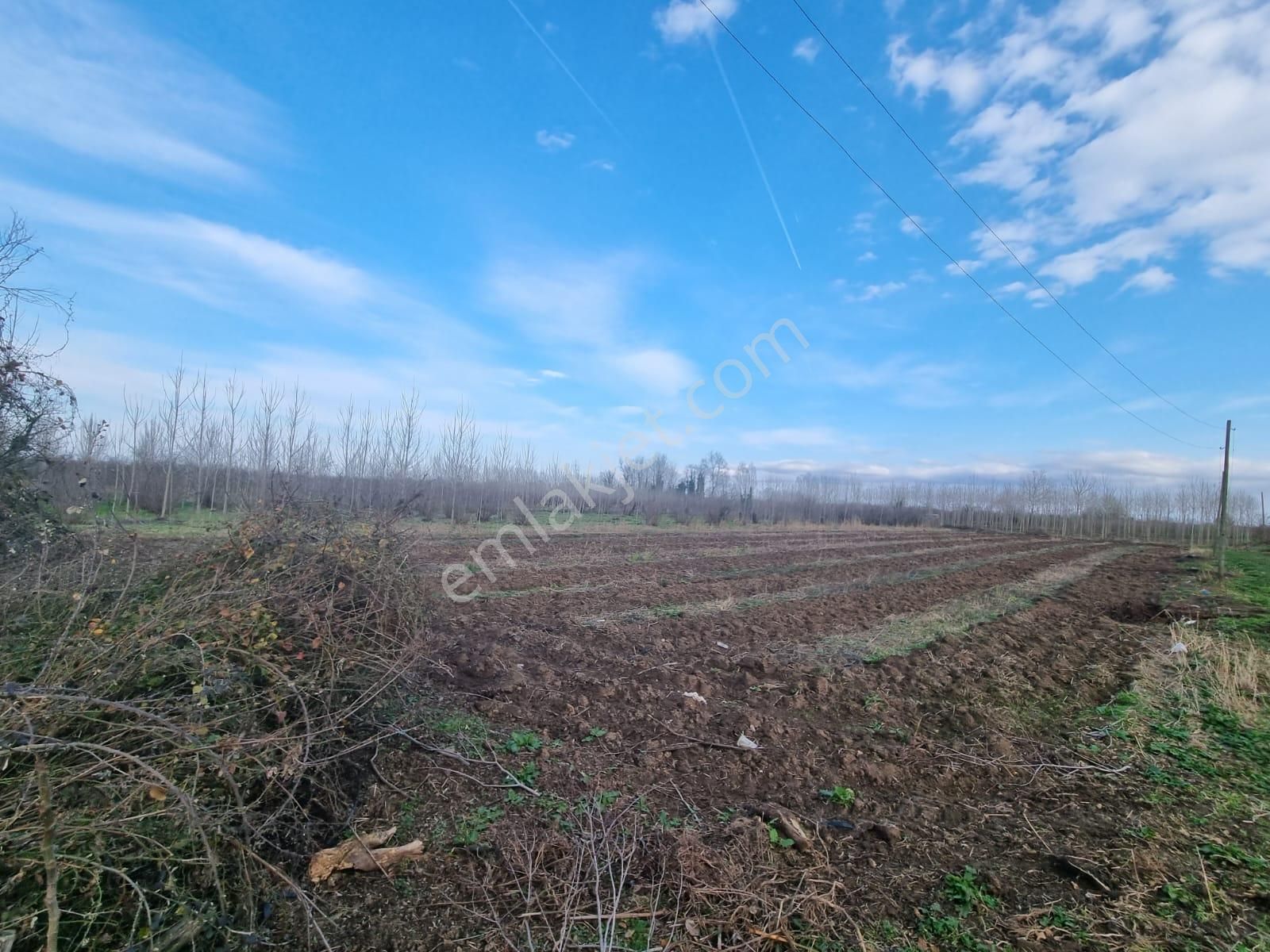 Akgün Kurumsal'dan Çarşamba'da 9635 M2 Satılık Tarla - Görsel 13