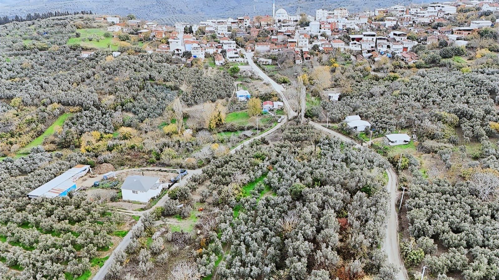 Esen'den Yalı Çiftlik Köyüne 150 Metre Resmi Yola Cephe Tarla - Görsel 13