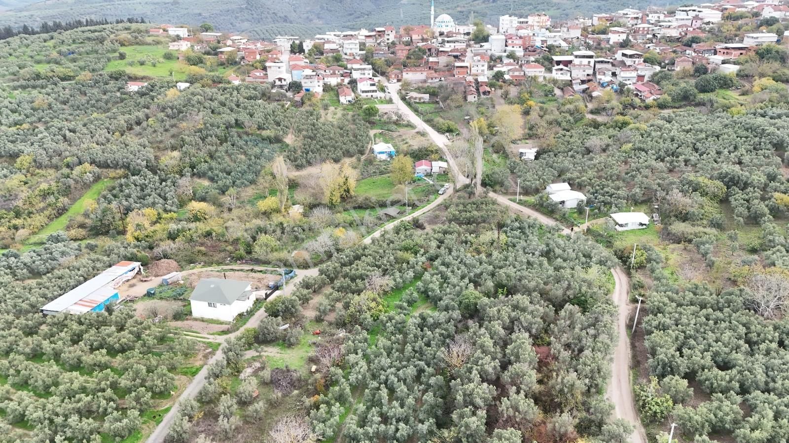 Esen'den Yalı Çiftlik Köyüne 150 Metre Resmi Yola Cephe Tarla - Görsel 19