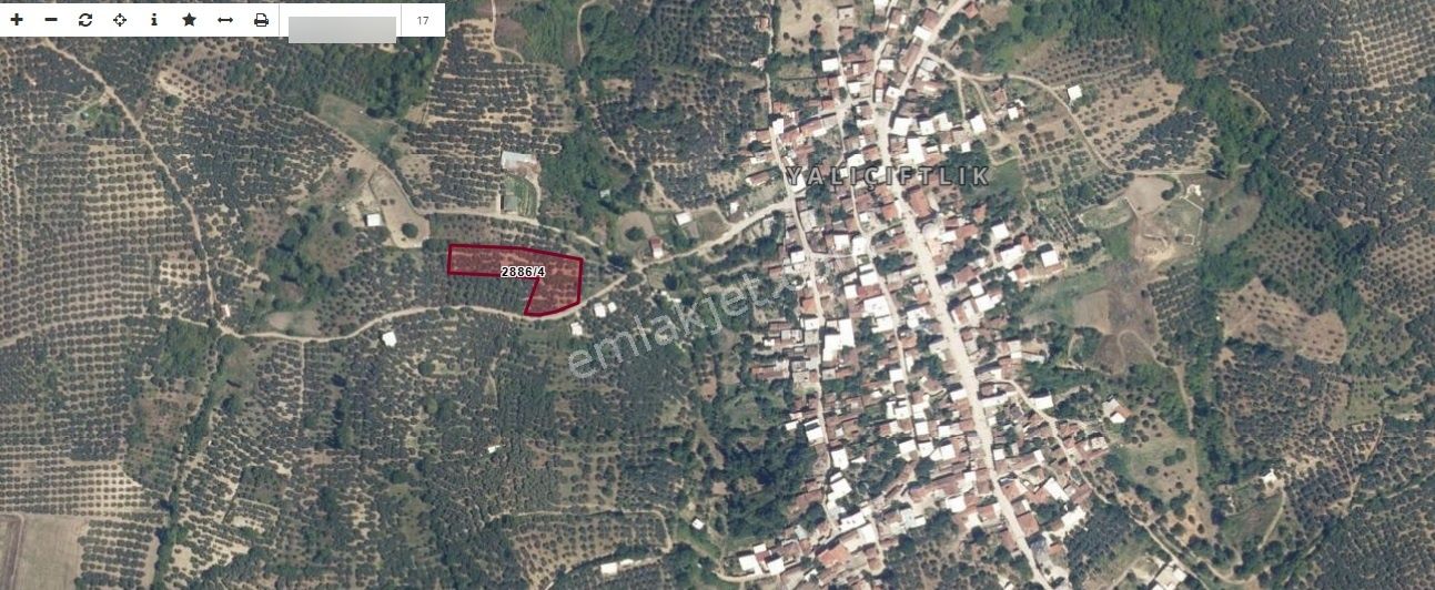 Esen'den Yalı Çiftlik Köyüne 150 Metre Resmi Yola Cephe Tarla - Görsel 26