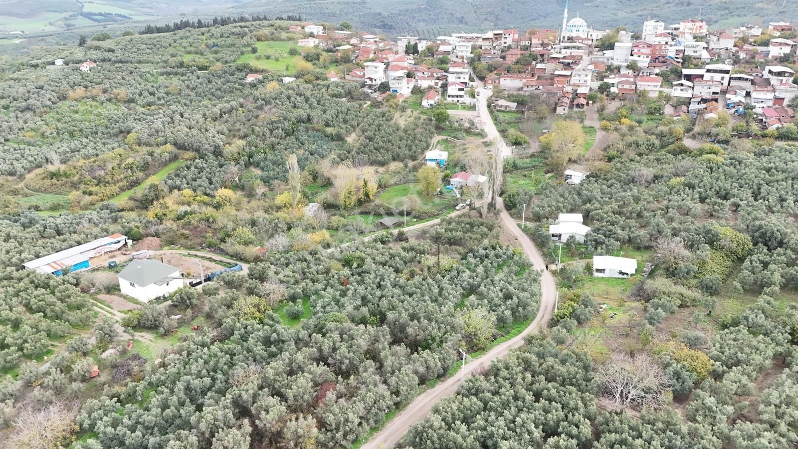Esen'den Yalı Çiftlik Köyüne 150 Metre Resmi Yola Cephe Tarla - Görsel 17