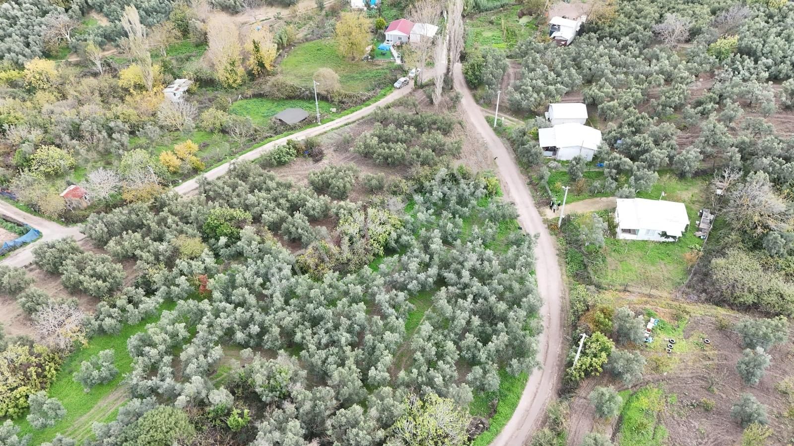 Esen'den Yalı Çiftlik Köyüne 150 Metre Resmi Yola Cephe Tarla - Görsel 32