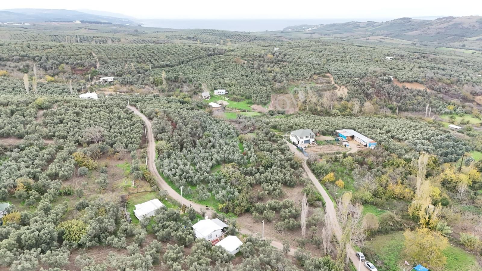 Esen'den Yalı Çiftlik Köyüne 150 Metre Resmi Yola Cephe Tarla - Görsel 5