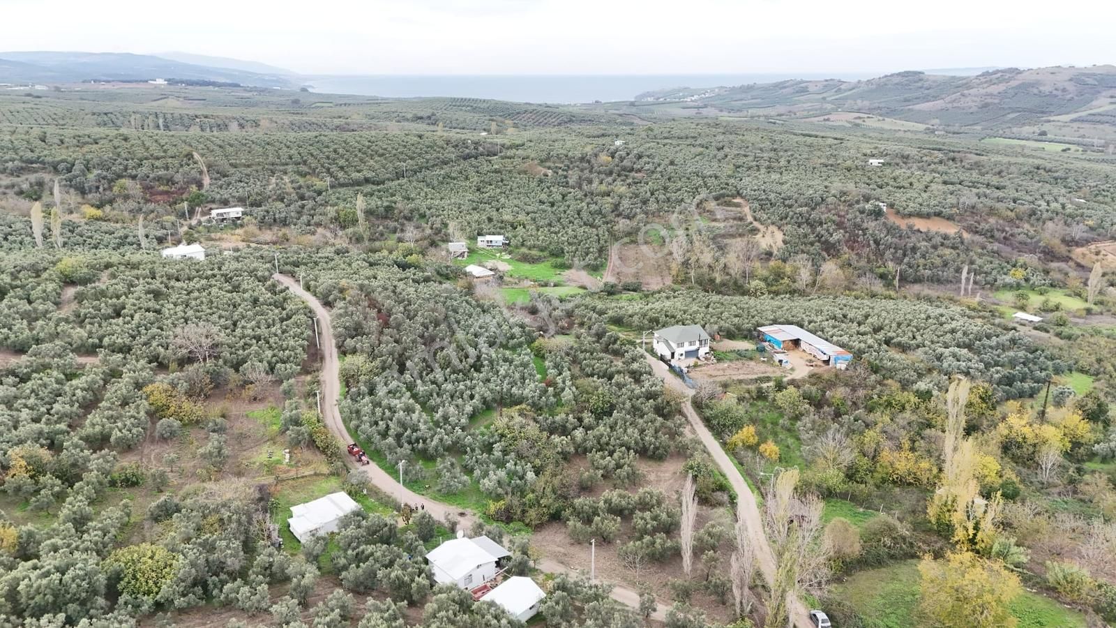 Esen'den Yalı Çiftlik Köyüne 150 Metre Resmi Yola Cephe Tarla - Görsel 24