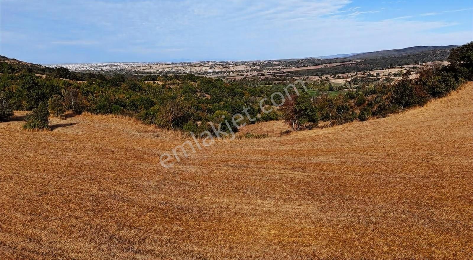 Biga Sarıkaya'da Satılık Müstakil 10 Dönüm Arazi - Görsel 3
