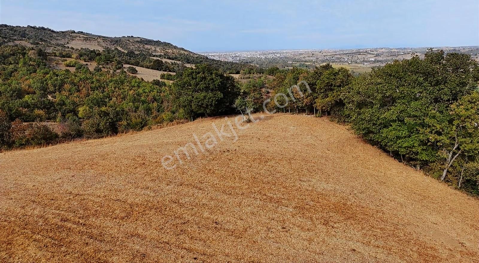 Biga Sarıkaya'da Satılık Müstakil 10 Dönüm Arazi