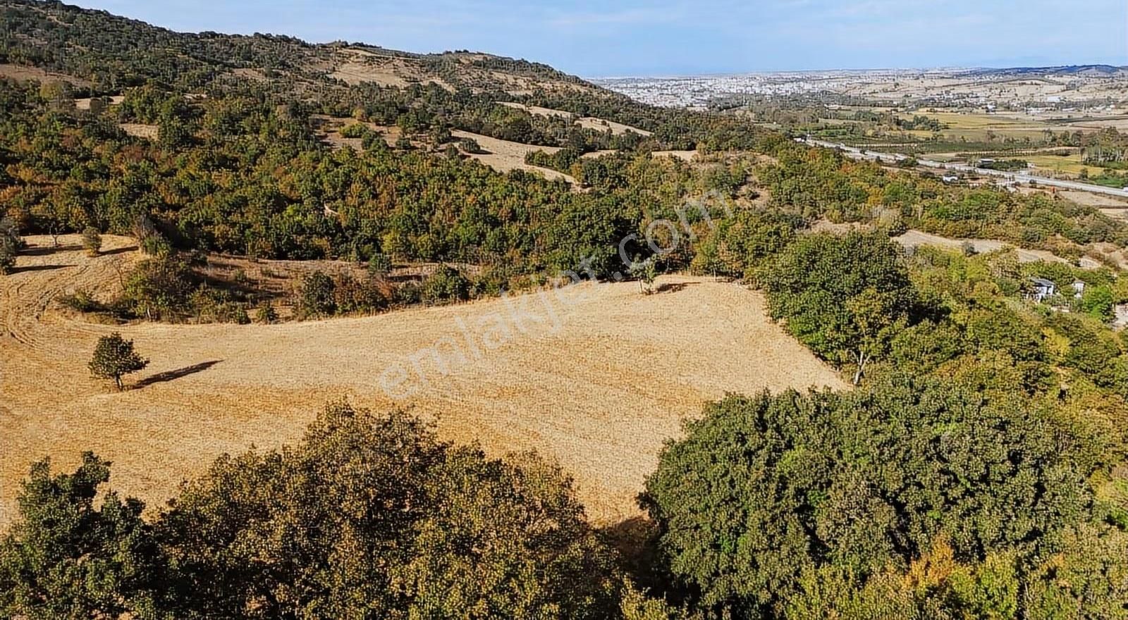 Biga Sarıkaya'da Satılık Müstakil 10 Dönüm Arazi - Görsel 6