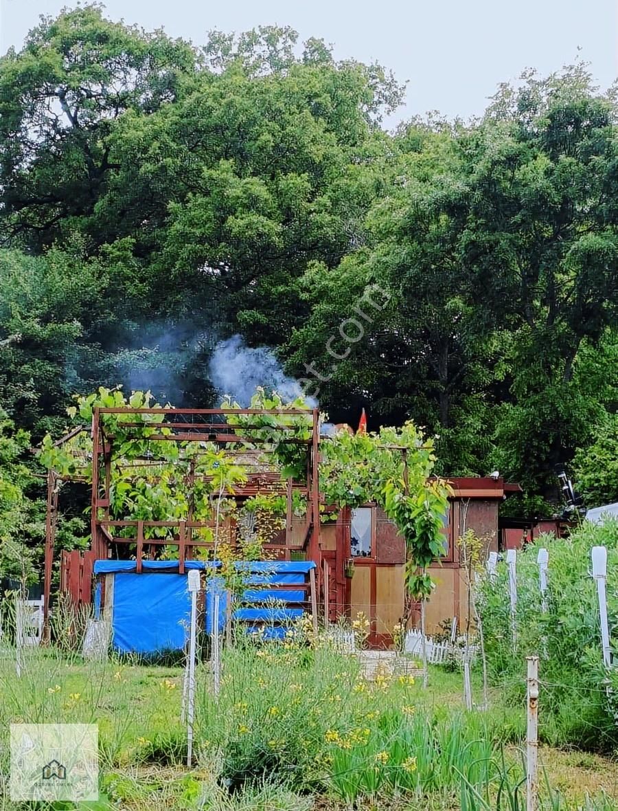 Süverlerde 1162 M2 Arsa İçinde Full Yapılı Çiftlik Evi - Görsel 20