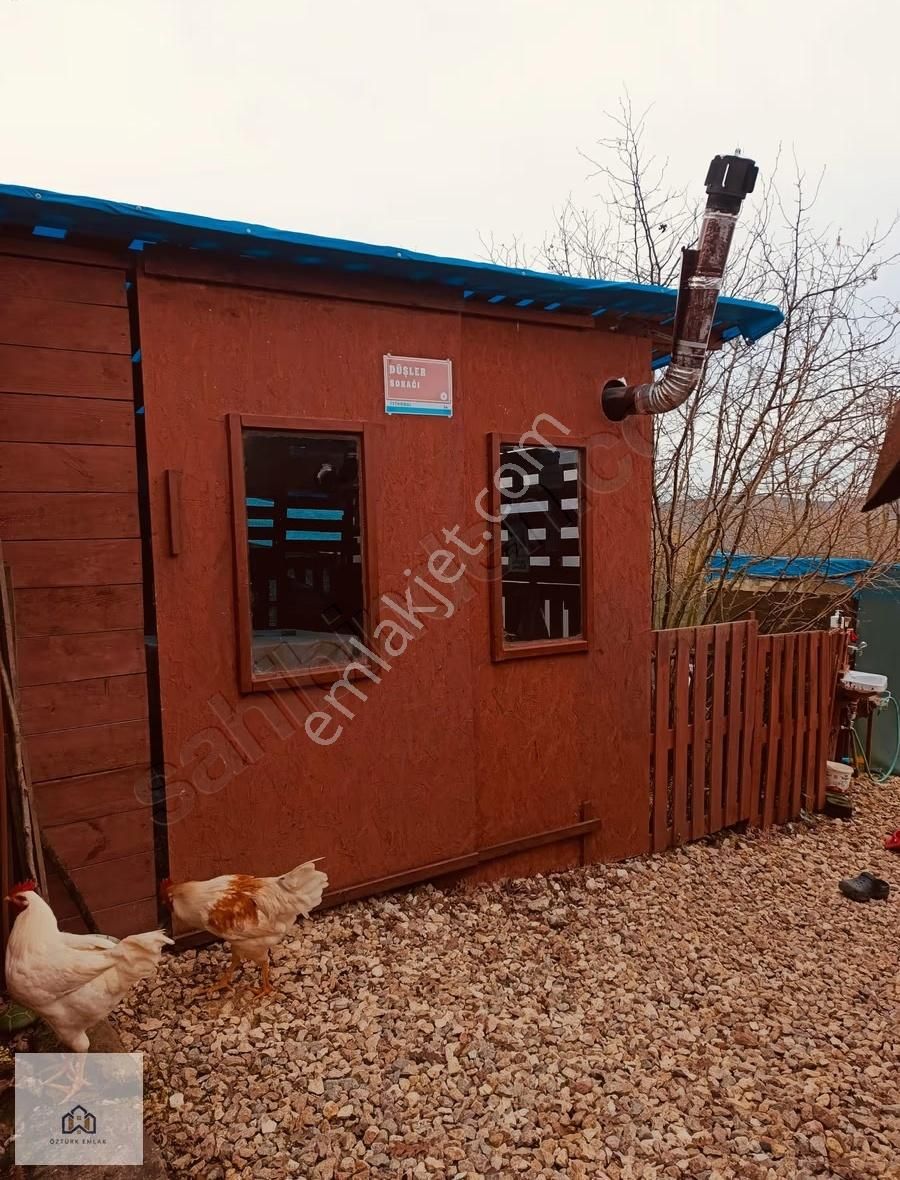 Süverlerde 1162 M2 Arsa İçinde Full Yapılı Çiftlik Evi - Görsel 16