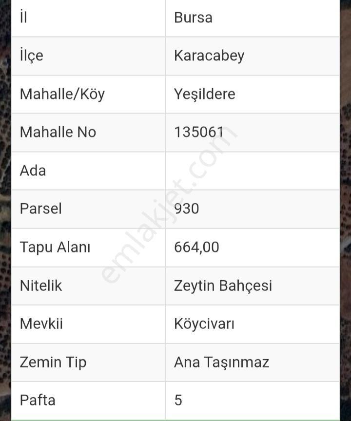 Karacabey Yeşilde Re 664 M2 - Görsel 10