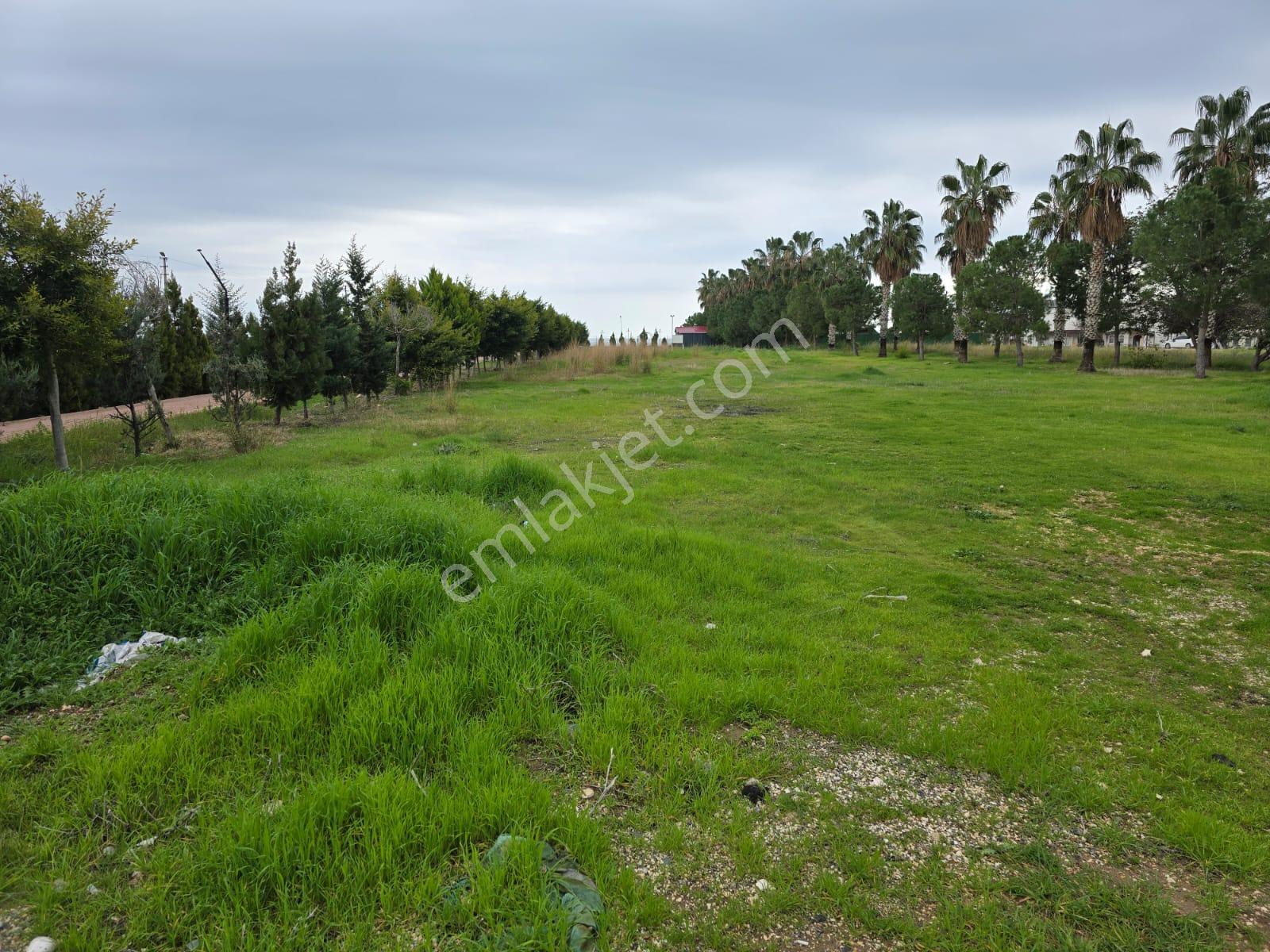 Denize Sıfır, Yatırımlık 250m² Arsa - Görsel 5