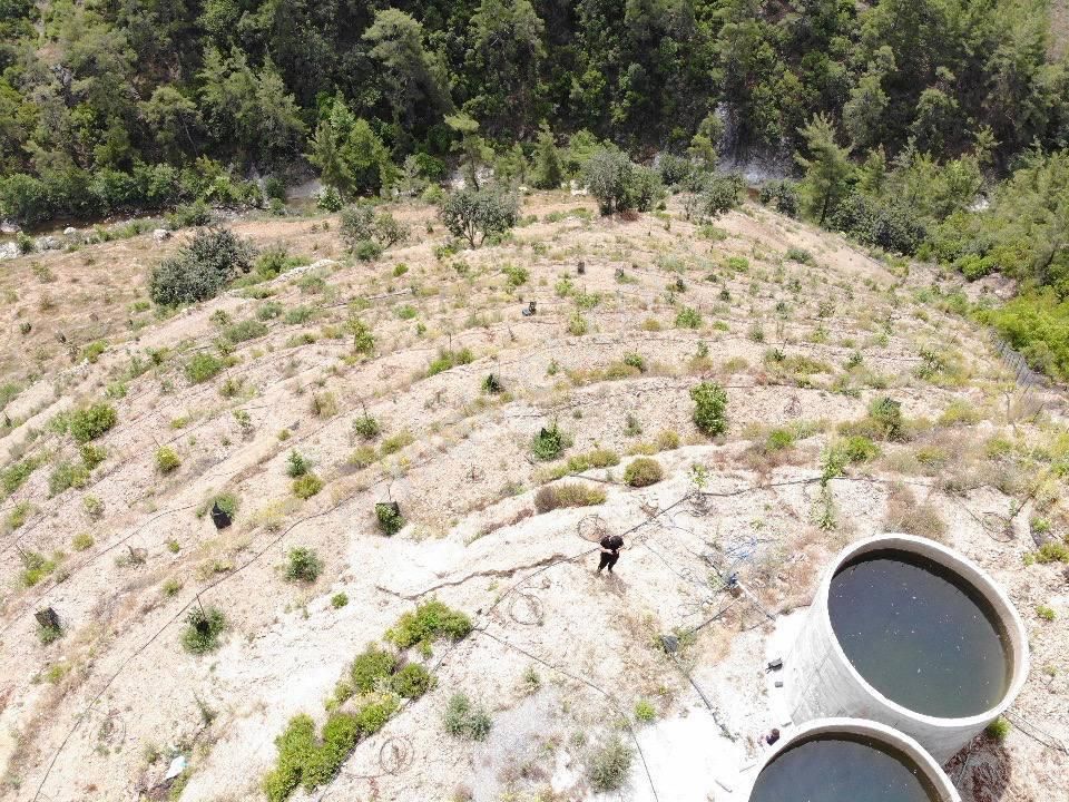 Kızılgüney Mahallesi Şehire 20 Dk Mesafede 24.000m2 Daire Takaslı Kurulu Düzen Avokado Bahçesi - Görsel 5