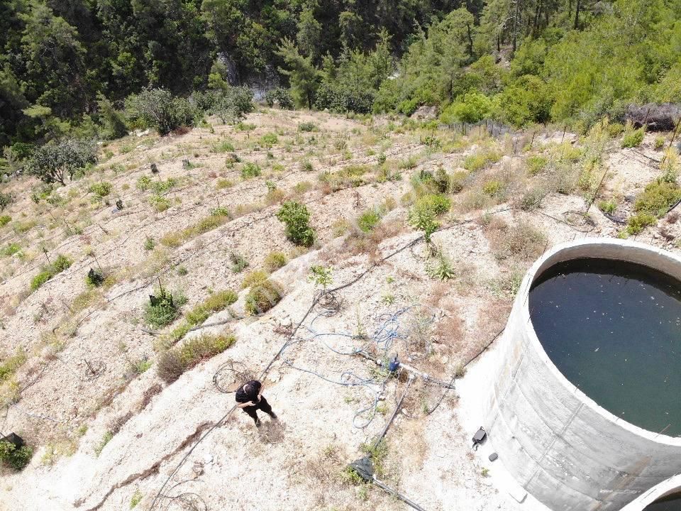Kızılgüney Mahallesi Şehire 20 Dk Mesafede 24.000m2 Daire Takaslı Kurulu Düzen Avokado Bahçesi