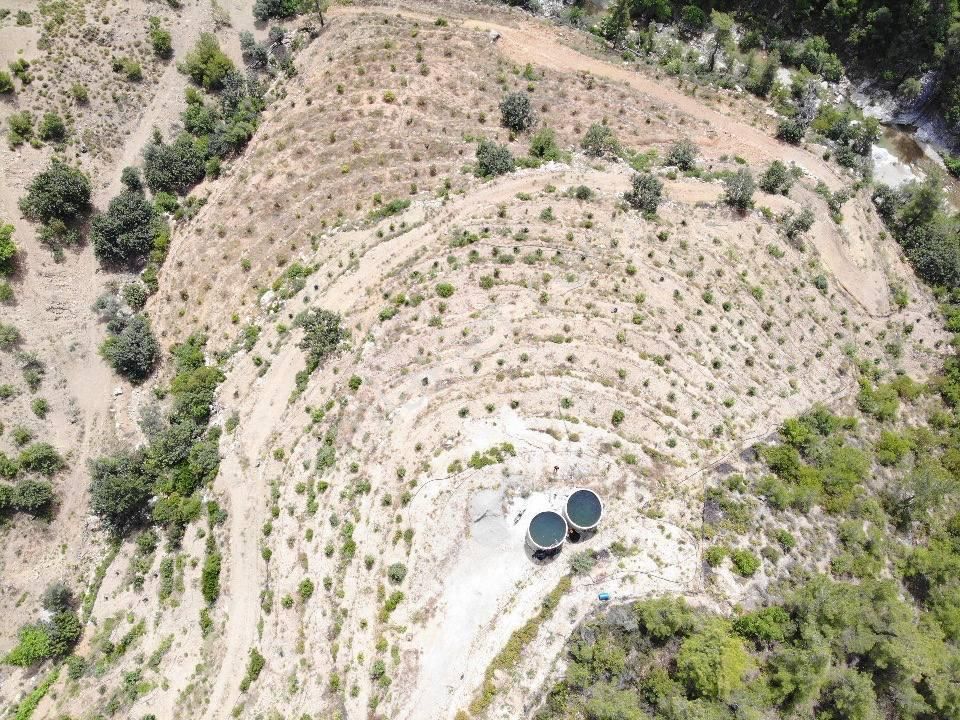 Kızılgüney Mahallesi Şehire 20 Dk Mesafede 24.000m2 Daire Takaslı Kurulu Düzen Avokado Bahçesi - Görsel 4