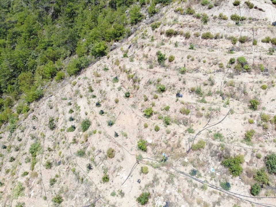 Kızılgüney Mahallesi Şehire 20 Dk Mesafede 24.000m2 Daire Takaslı Kurulu Düzen Avokado Bahçesi - Görsel 10