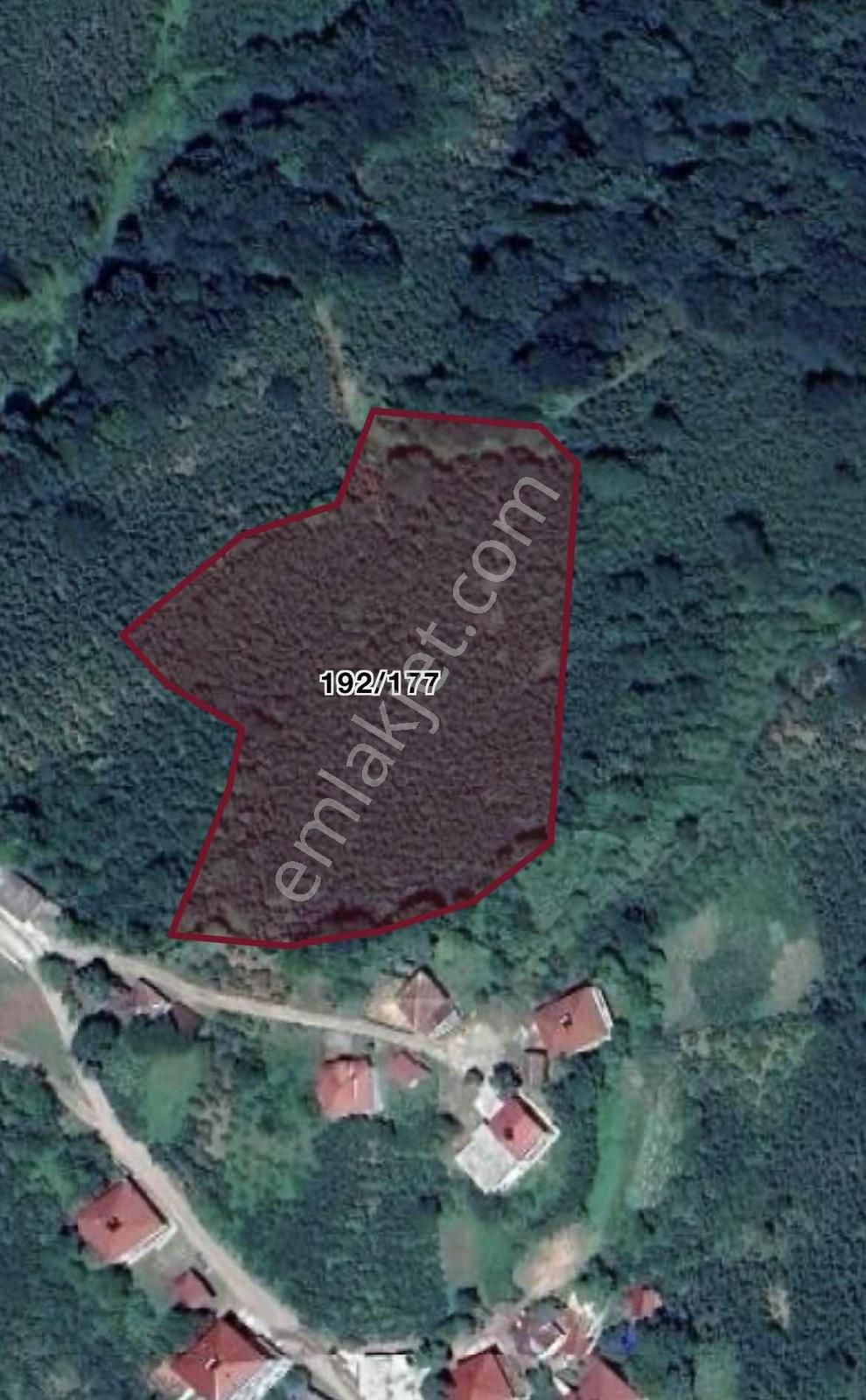 Ordu Ulubey Ohtamış Mah. Satılık 12.188m2 Bağ-bahçe