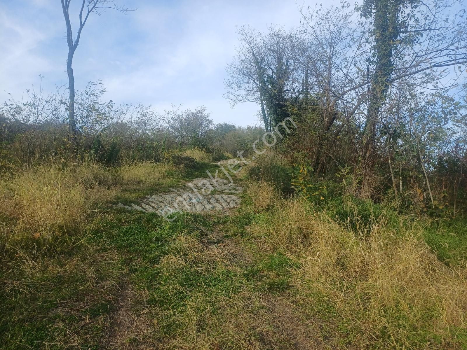 Yason Yarımadasında Parsellenebilir Satılık 7825 M2. Bahçe. - Görsel 9