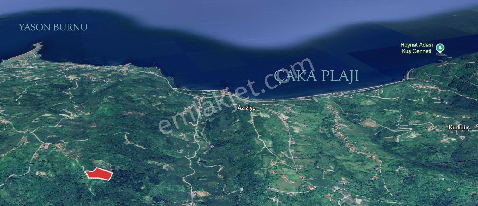 Yason Yarımadasında Parsellenebilir Satılık 7825 M2. Bahçe. - Görsel 10