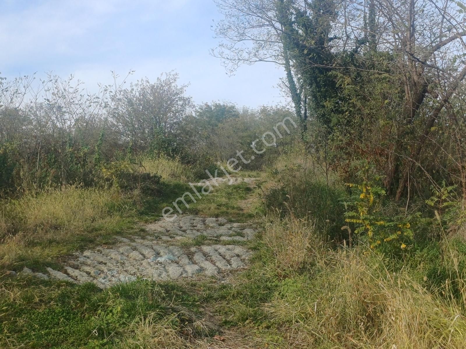 Yason Yarımadasında Parsellenebilir Satılık 7825 M2. Bahçe. - Görsel 18