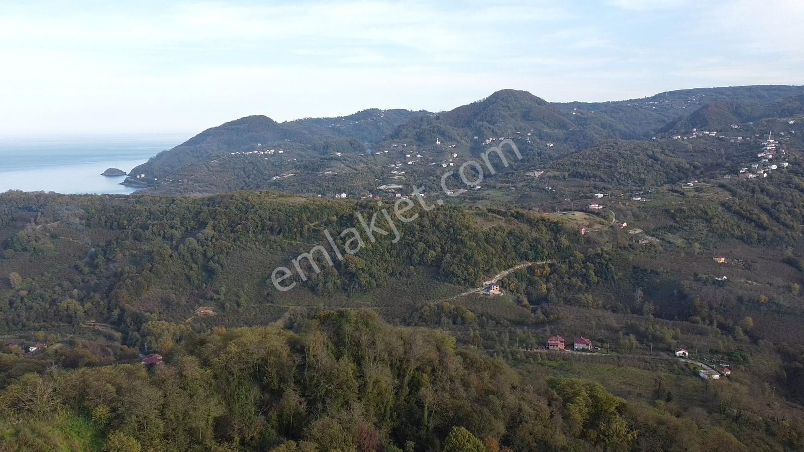 Yason Yarımadasında Parsellenebilir Satılık 7825 M2. Bahçe. - Görsel 15