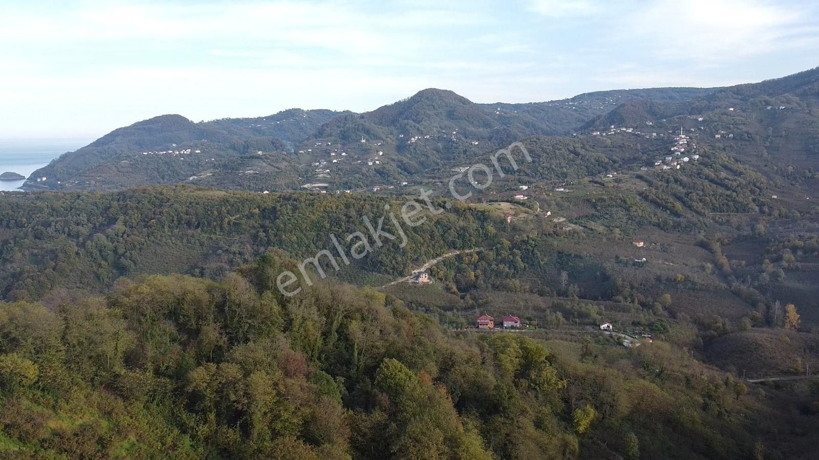 Yason Yarımadasında Parsellenebilir Satılık 7825 M2. Bahçe. - Görsel 4