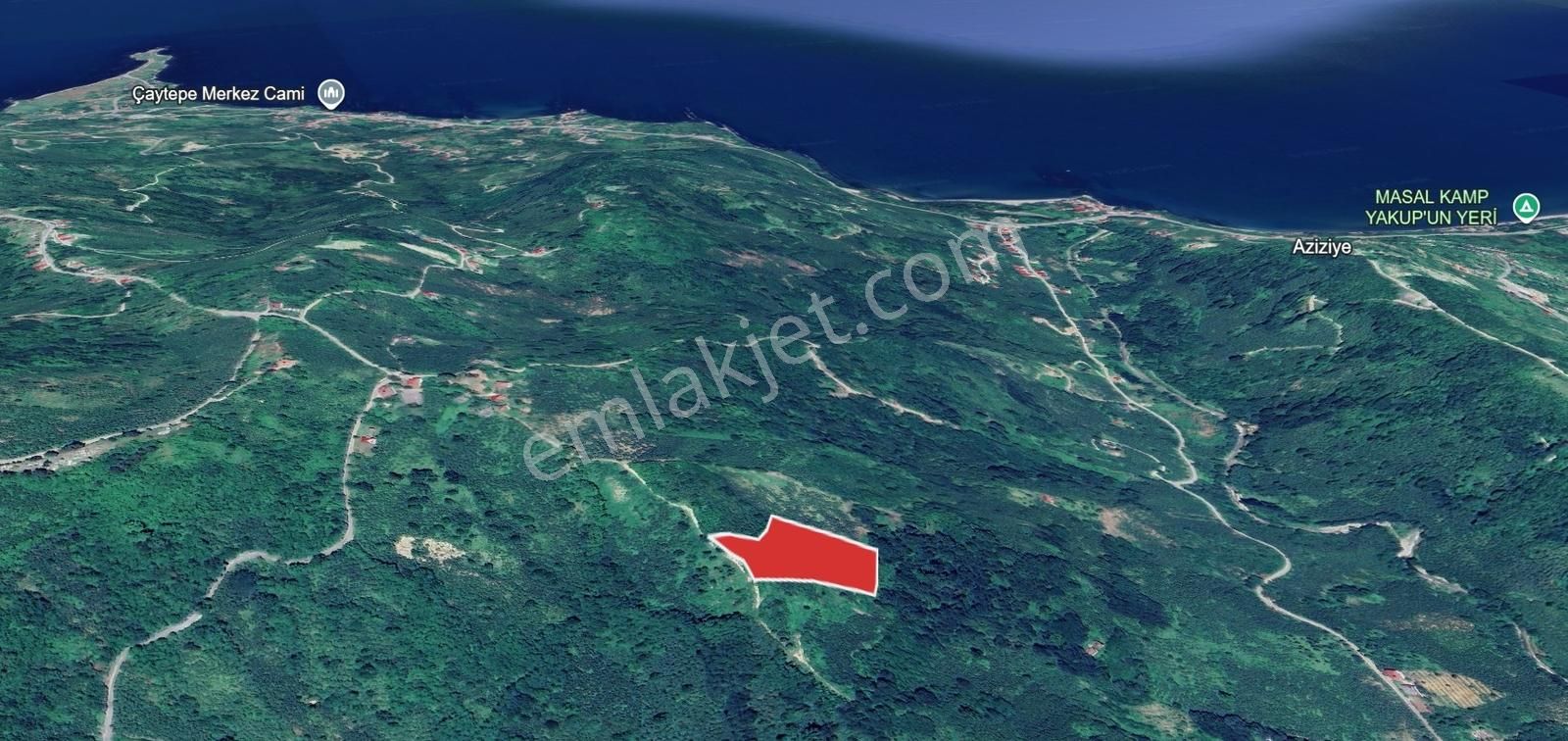 Yason Yarımadasında Parsellenebilir Satılık 7825 M2. Bahçe. - Görsel 6