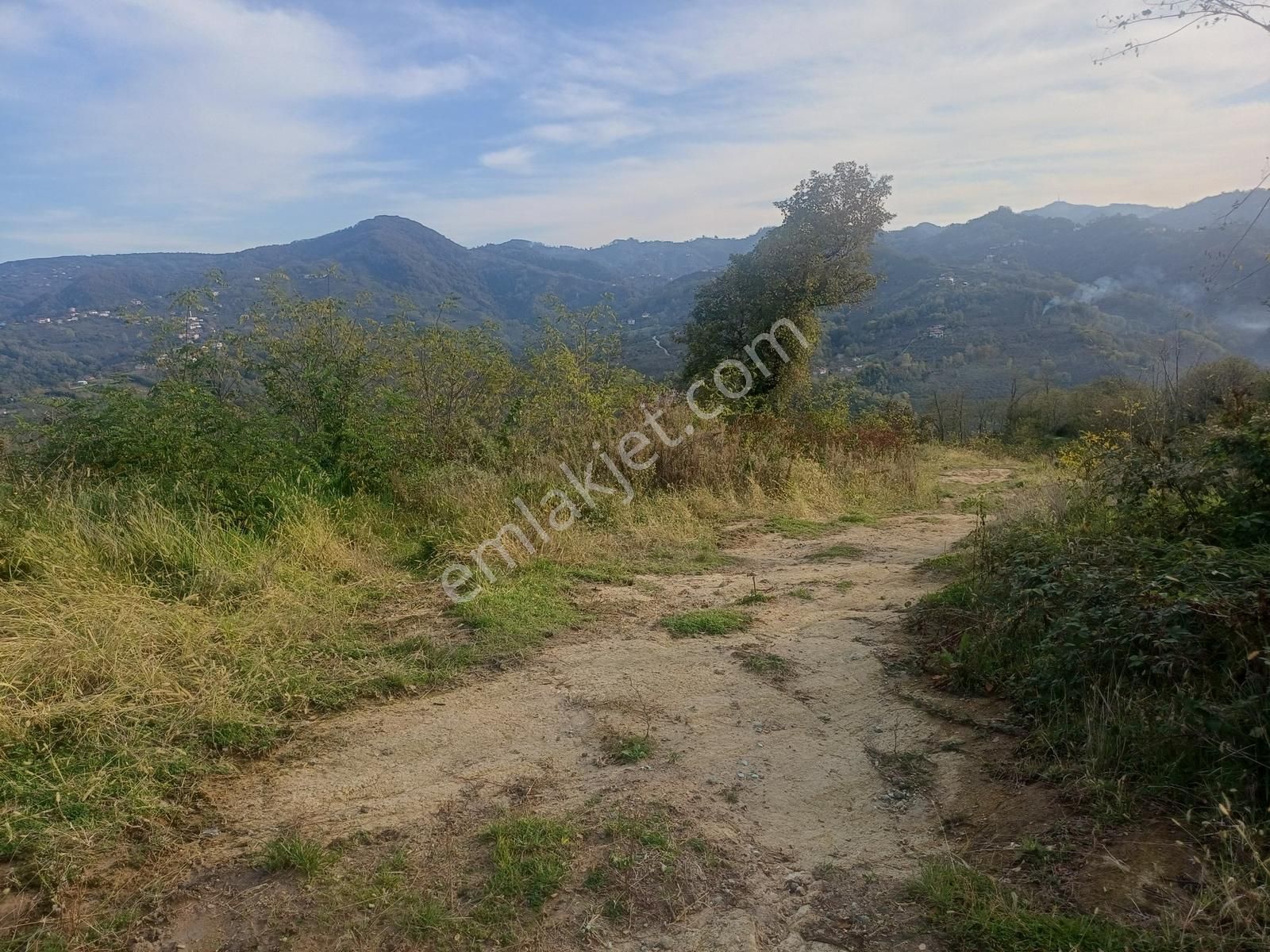 Yason Yarımadasında Parsellenebilir Satılık 7825 M2. Bahçe. - Görsel 11