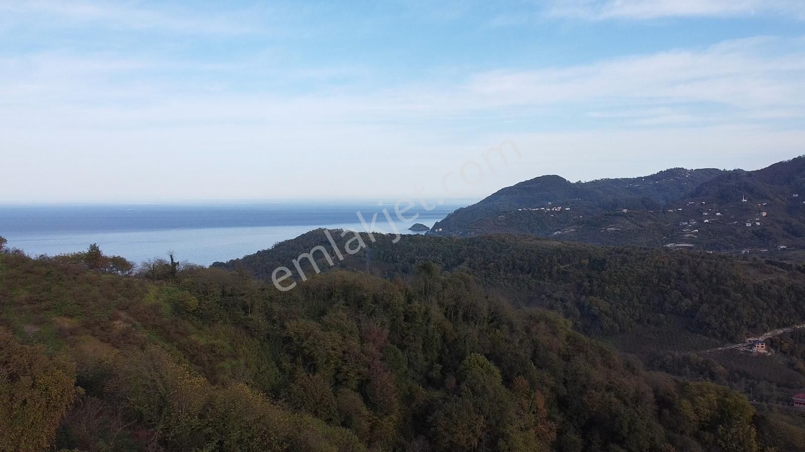 Yason Yarımadasında Parsellenebilir Satılık 7825 M2. Bahçe. - Görsel 17