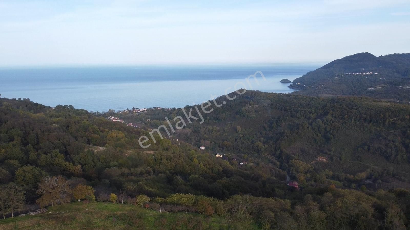 Yason Yarımadasında Parsellenebilir Satılık 7825 M2. Bahçe. - Görsel 21