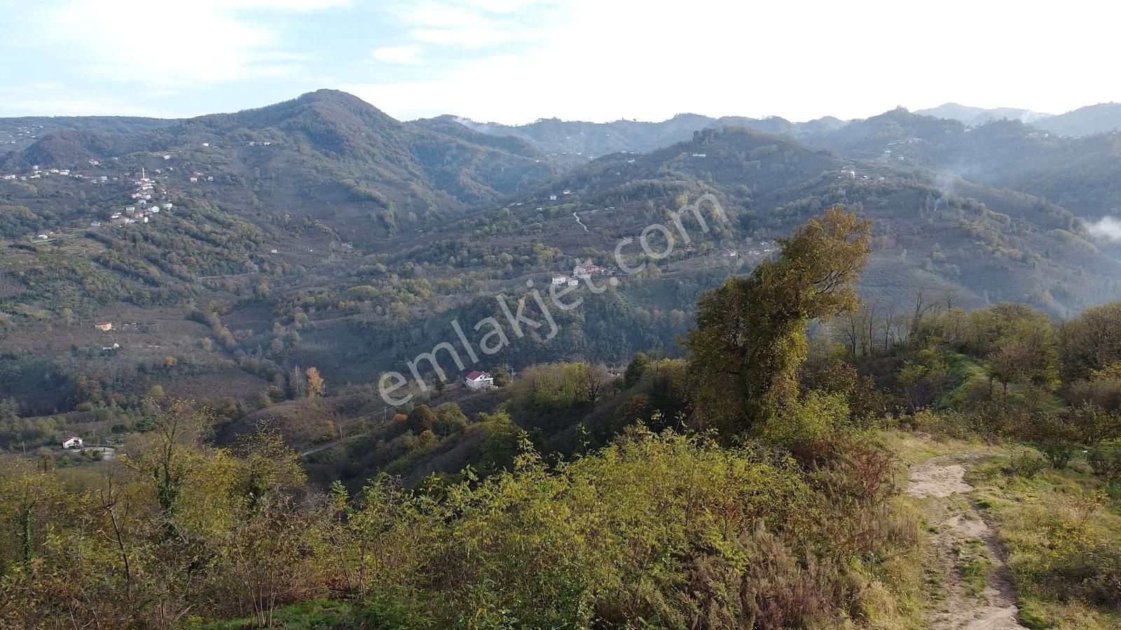 Yason Yarımadasında Parsellenebilir Satılık 7825 M2. Bahçe. - Görsel 23