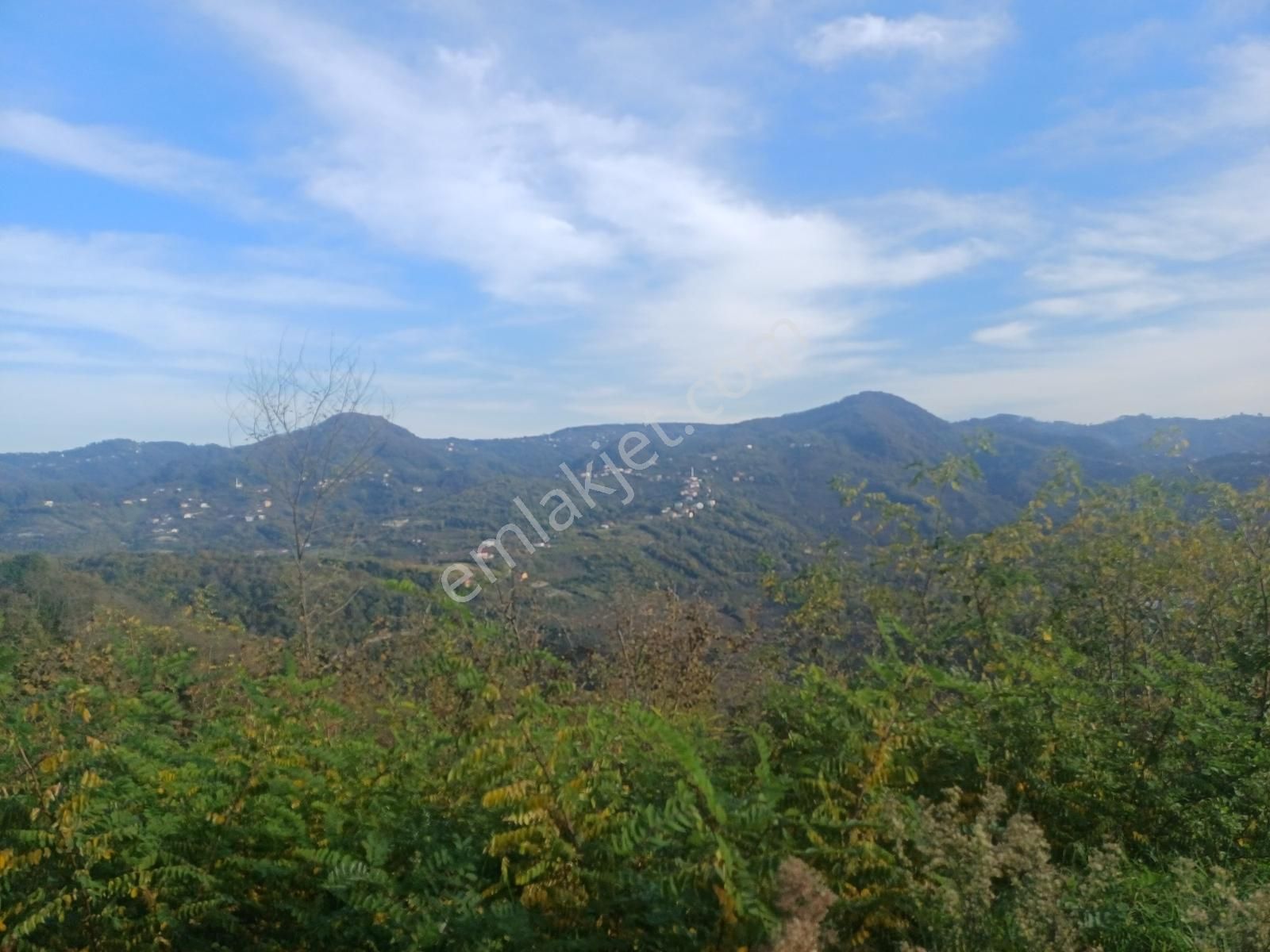 Yason Yarımadasında Parsellenebilir Satılık 7825 M2. Bahçe. - Görsel 2