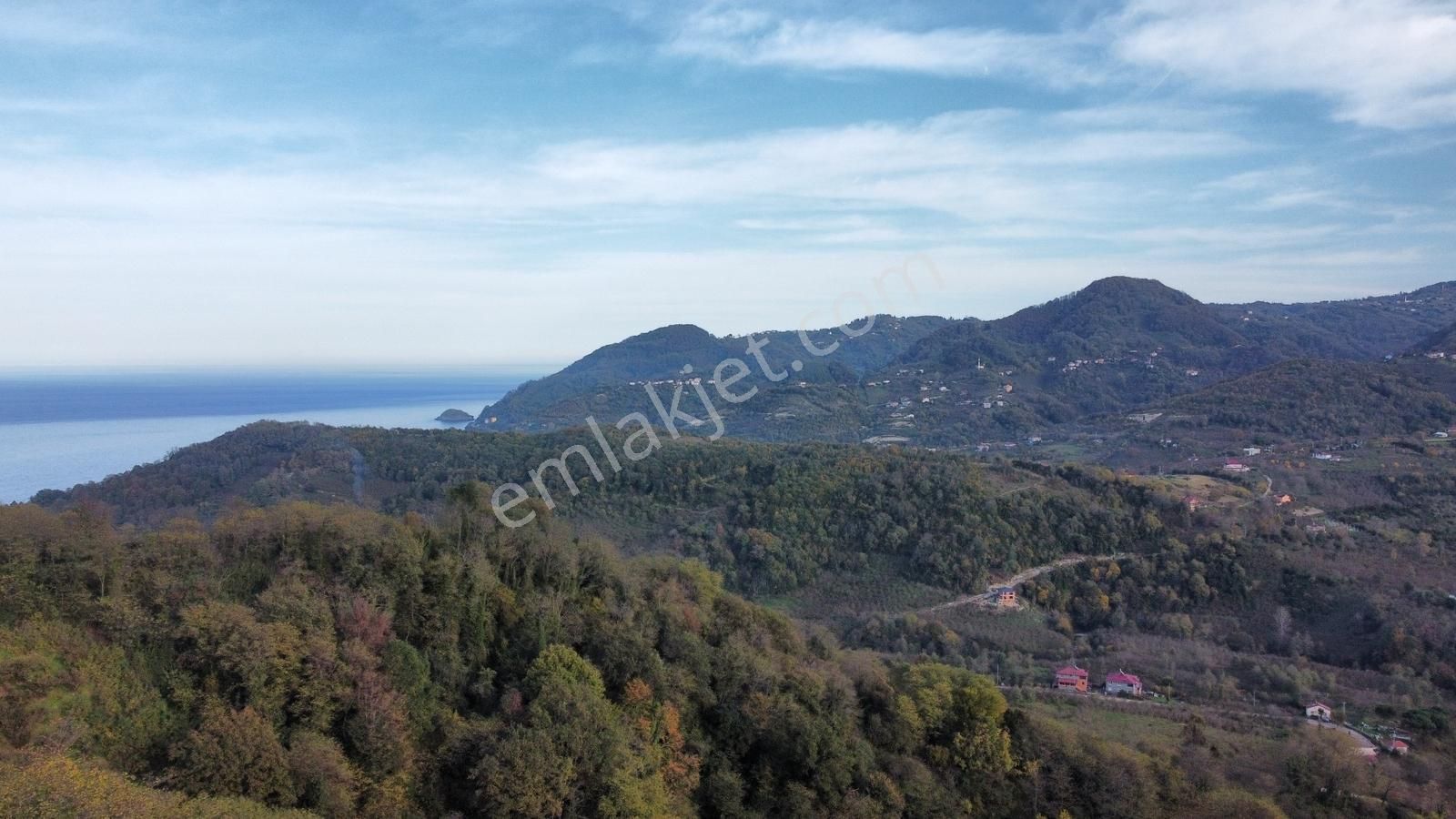 Yason Yarımadasında Parsellenebilir Satılık 7825 M2. Bahçe. - Görsel 16