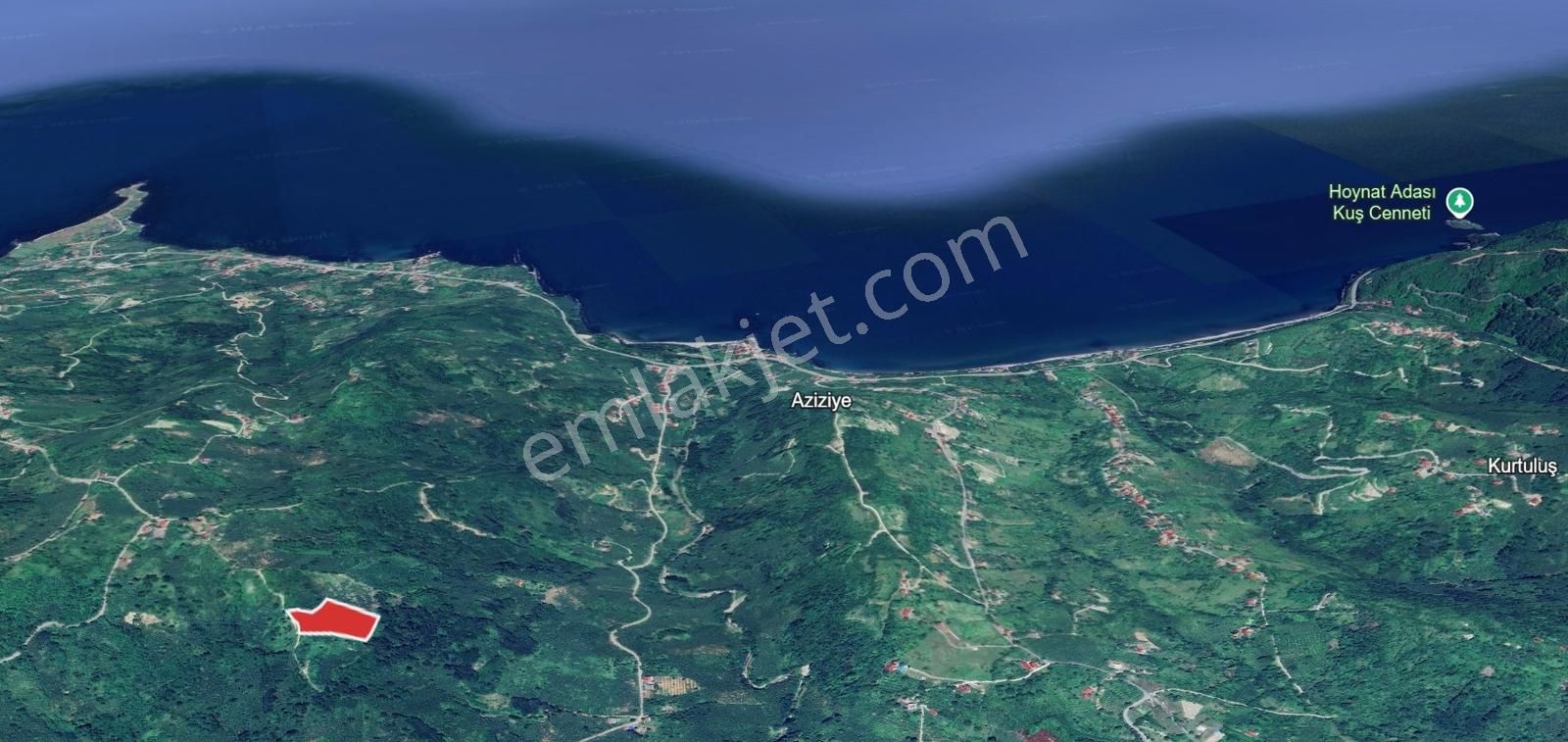 Yason Yarımadasında Parsellenebilir Satılık 7825 M2. Bahçe. - Görsel 19