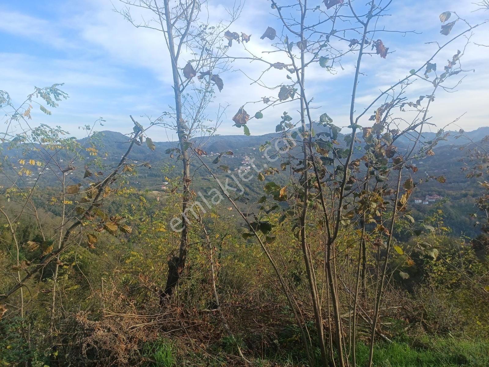 Yason Yarımadasında Parsellenebilir Satılık 7825 M2. Bahçe. - Görsel 12