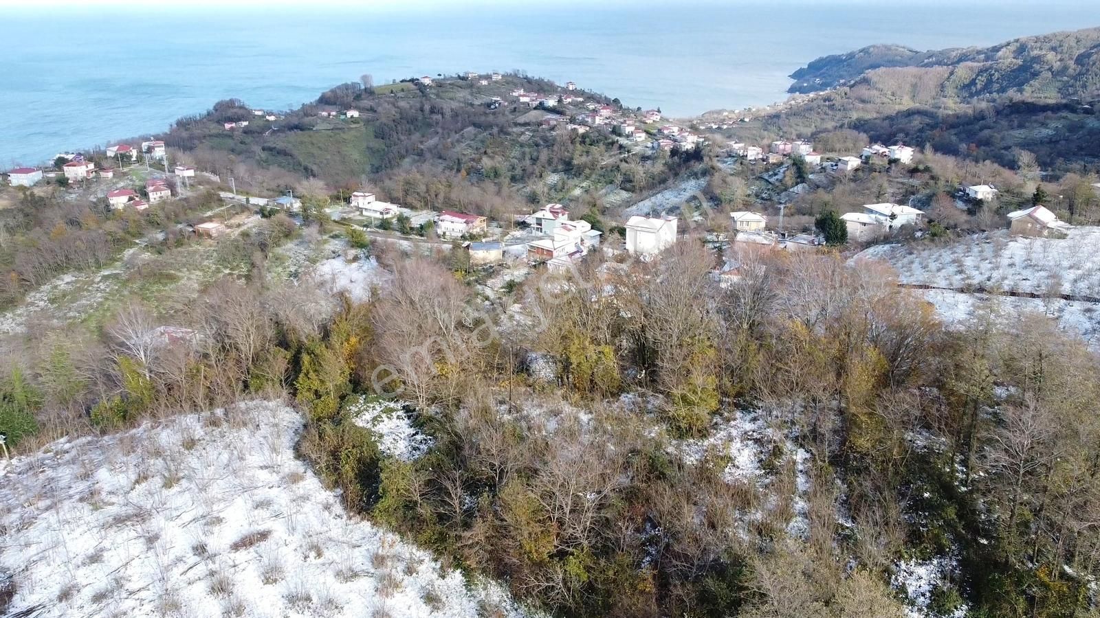 Perşembe Ramazan Mah.sinin Seyir Terası 1504 M2. Satılık Bahçe - Görsel 20