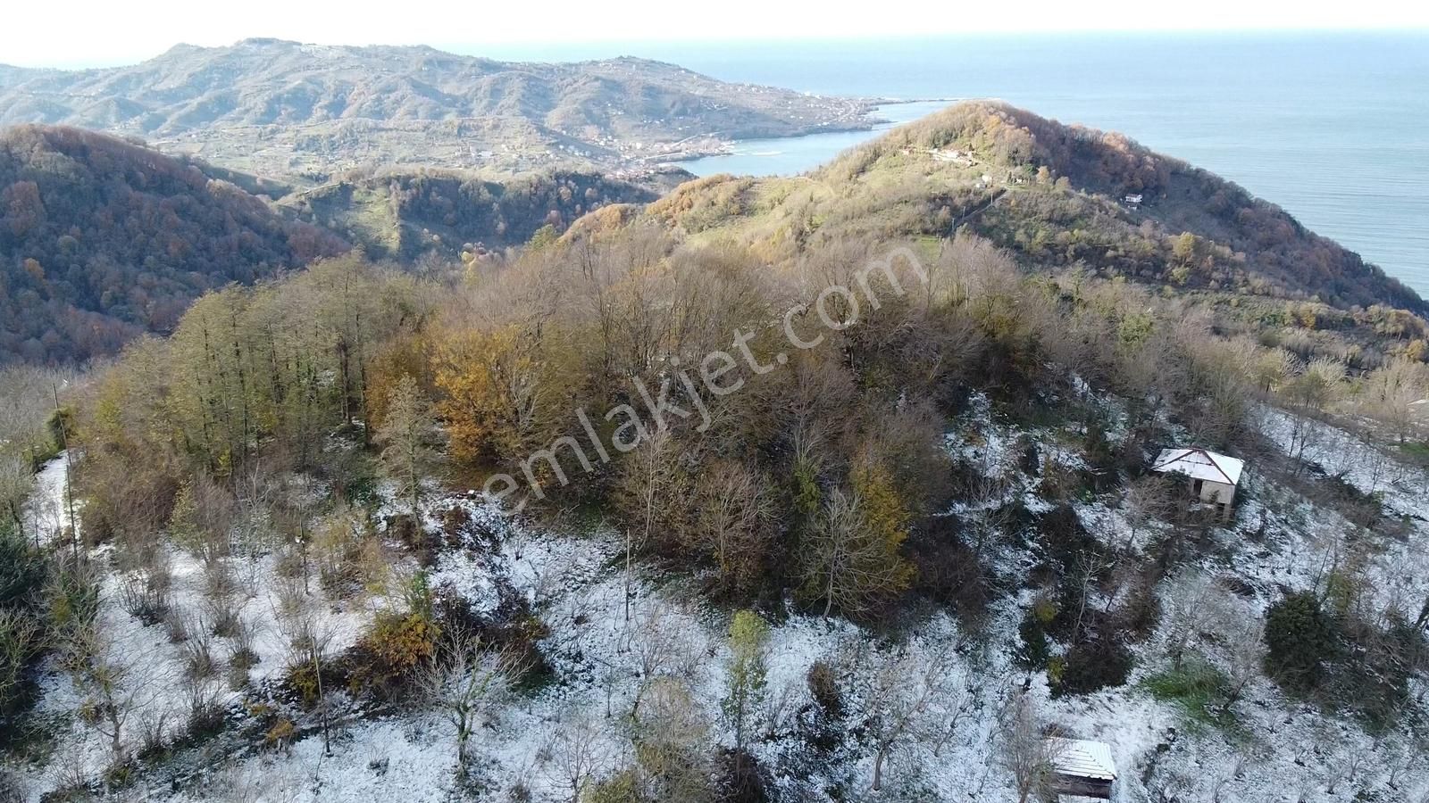 Perşembe Ramazan Mah.sinin Seyir Terası 1504 M2. Satılık Bahçe - Görsel 11