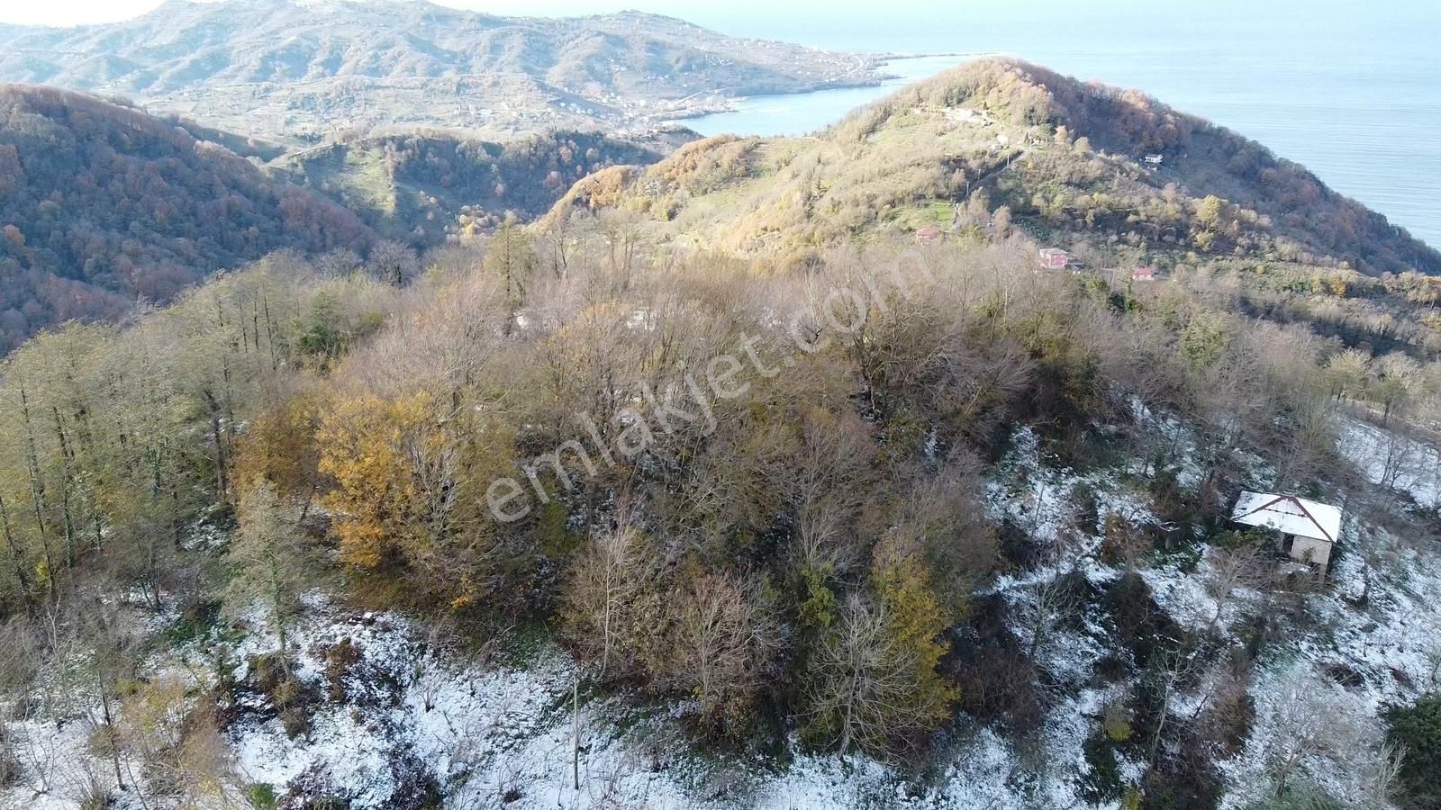 Perşembe Ramazan Mah.sinin Seyir Terası 1504 M2. Satılık Bahçe - Görsel 17